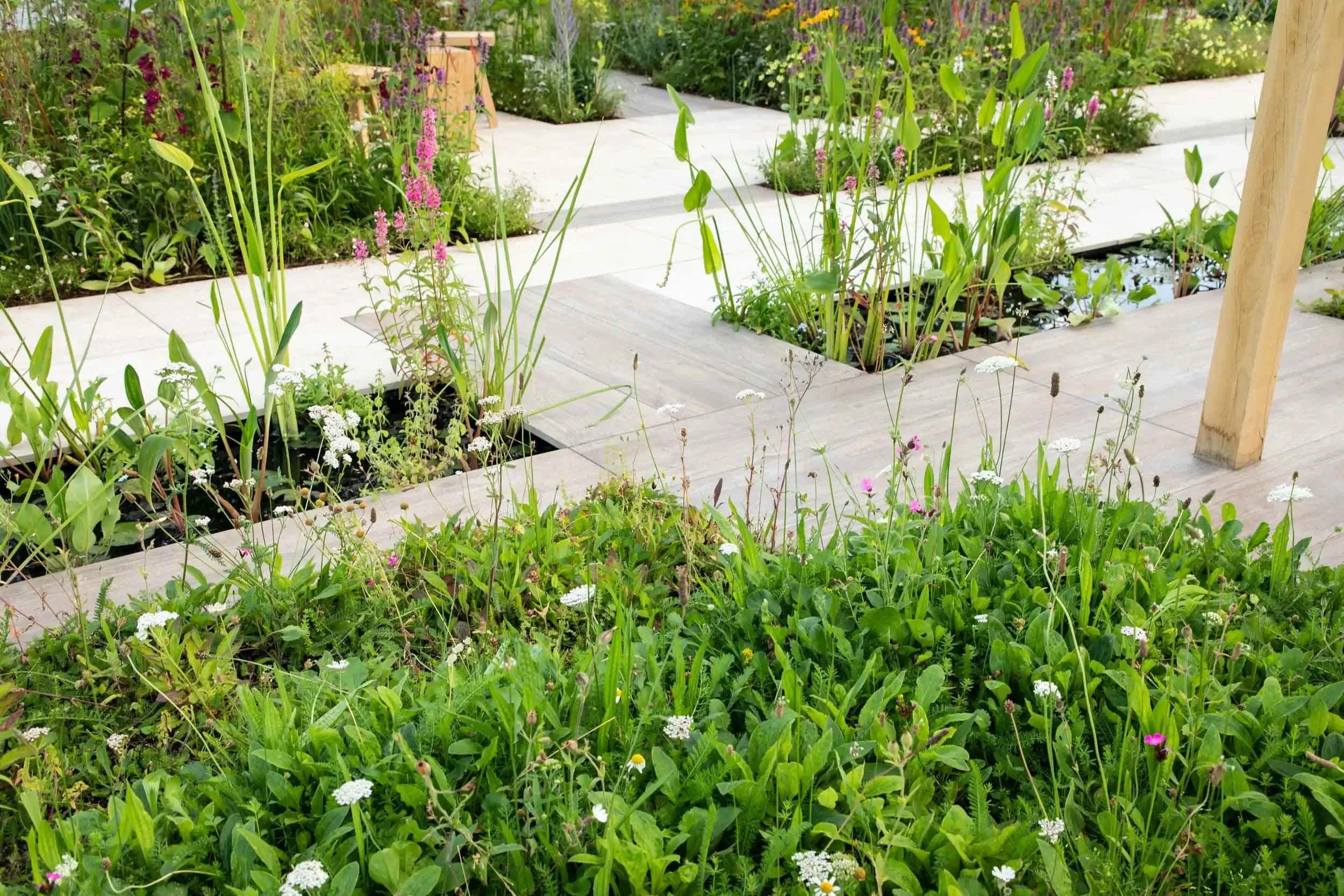 Wildflower planting and sleek paving with narrow water channels.