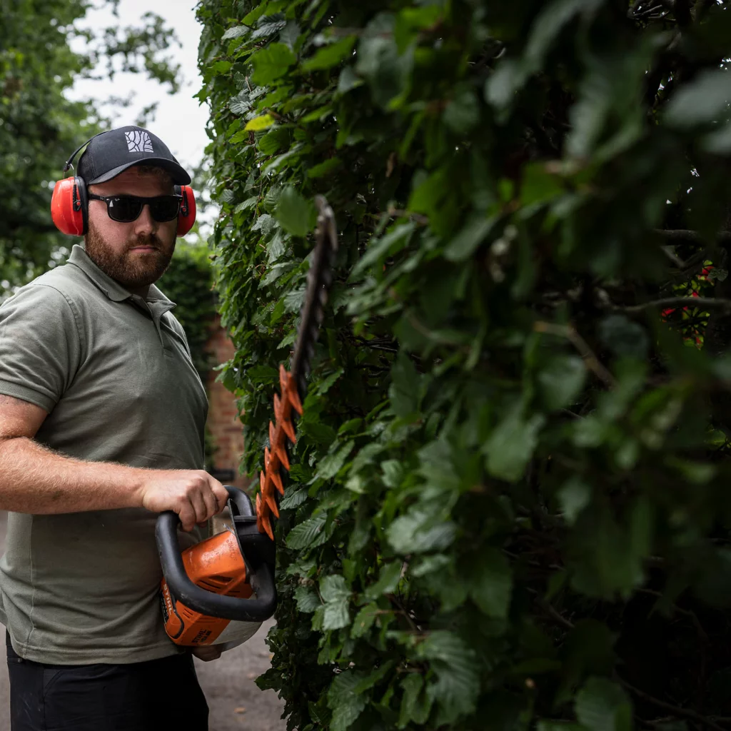 A Base Squared landscaper trims a tall hedge with an electric trimmer, wearing protective earmuffs, sunglasses, and a branded cap, focused on shaping the dense greenery.